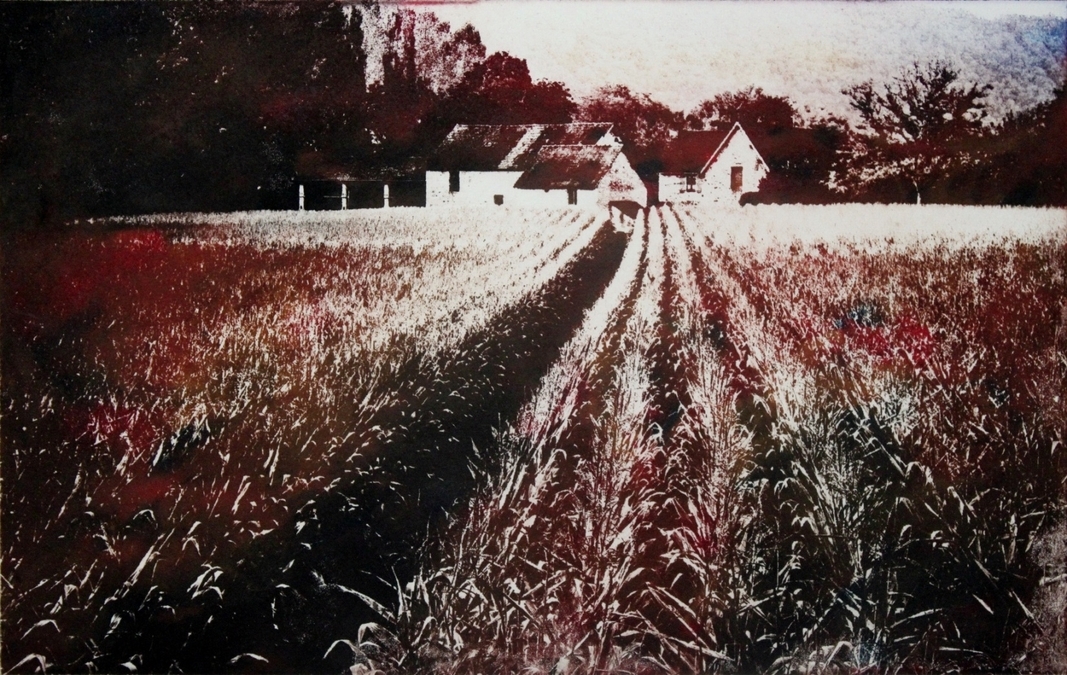 September Fields