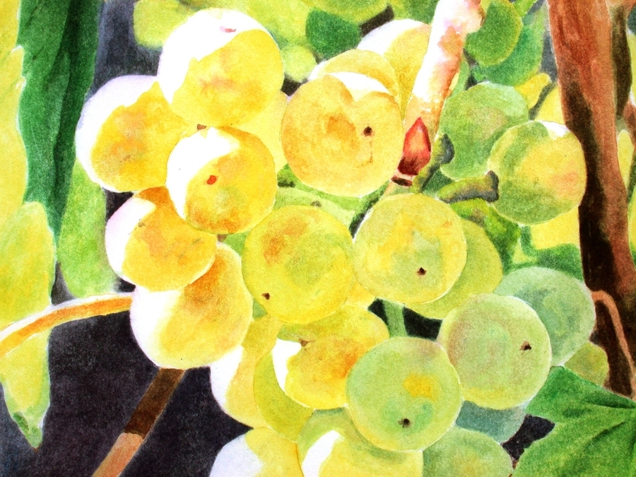 Golden Grapes, detail