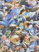 Sea of Shells