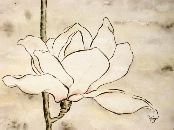 White Magnolia